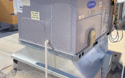 Energy Efficiency Upgrades for Commercial Refrigeration: Save Money and Go Green with Specs Refrigeration